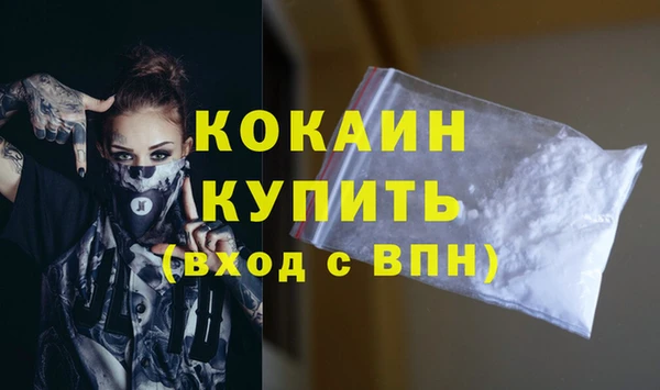 прущие грибы Абинск