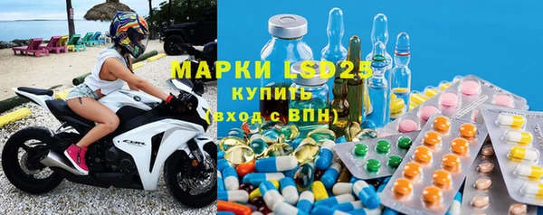 прущие грибы Абинск
