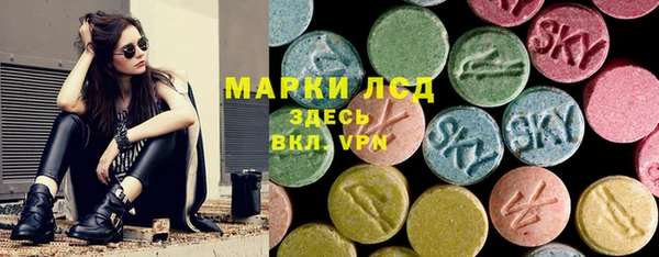 прущие грибы Абинск