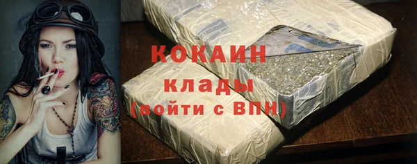 прущие грибы Абинск