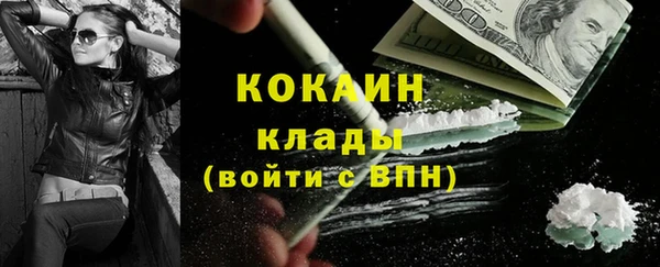 прущие грибы Абинск