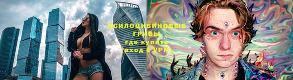 прущие грибы Абинск